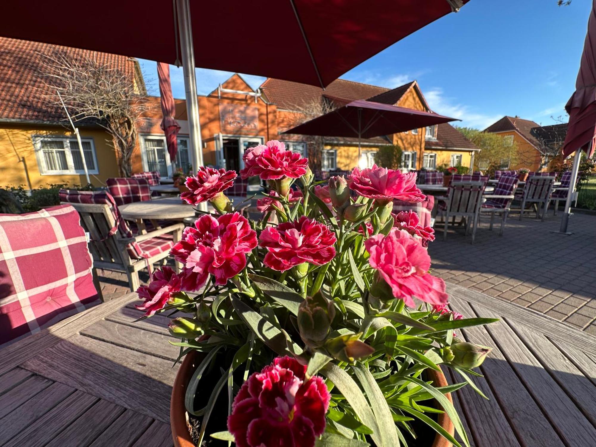 Hotel & Restaurant Zum Kap Arkona Putgarten Dış mekan fotoğraf